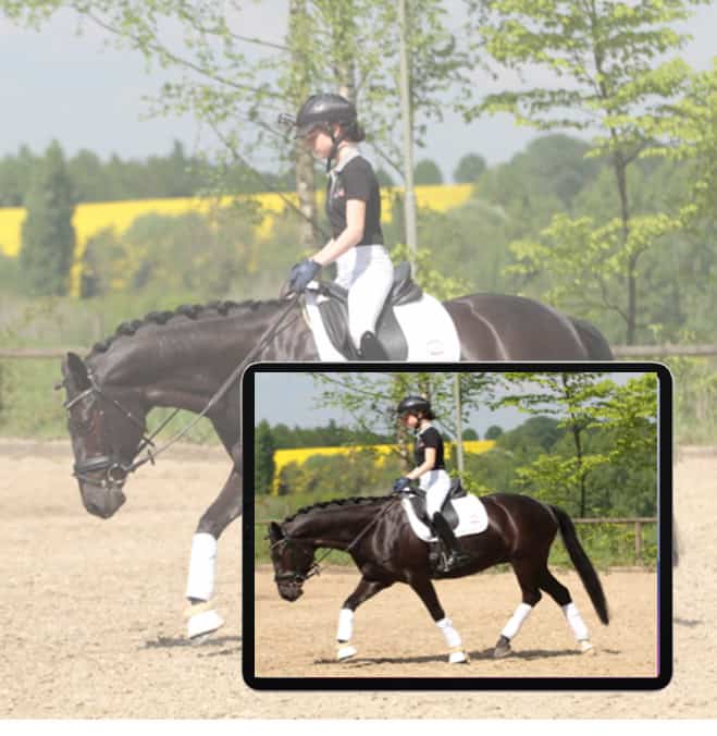 online horse riding lessons